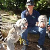 OCS Limited Celebrate Thank Your Cleaner Day with Lemurs